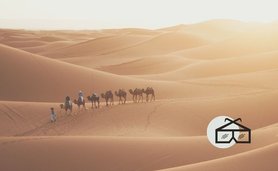 Como en una película: Buscadores de Dios. Texto para rezar en Navidad y Epifanía. Los magos dejaron atrás muchas cosas para buscar al Rey de los judíos: hogar, amigos, sus propias seguridades… «postrándose le adoraron» (Mt 2,11).