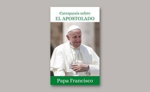 Catequesis sobre el apostolado: La pasión por la evangelización