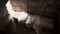 Un sepulcro vacío, con la luz del amanecer